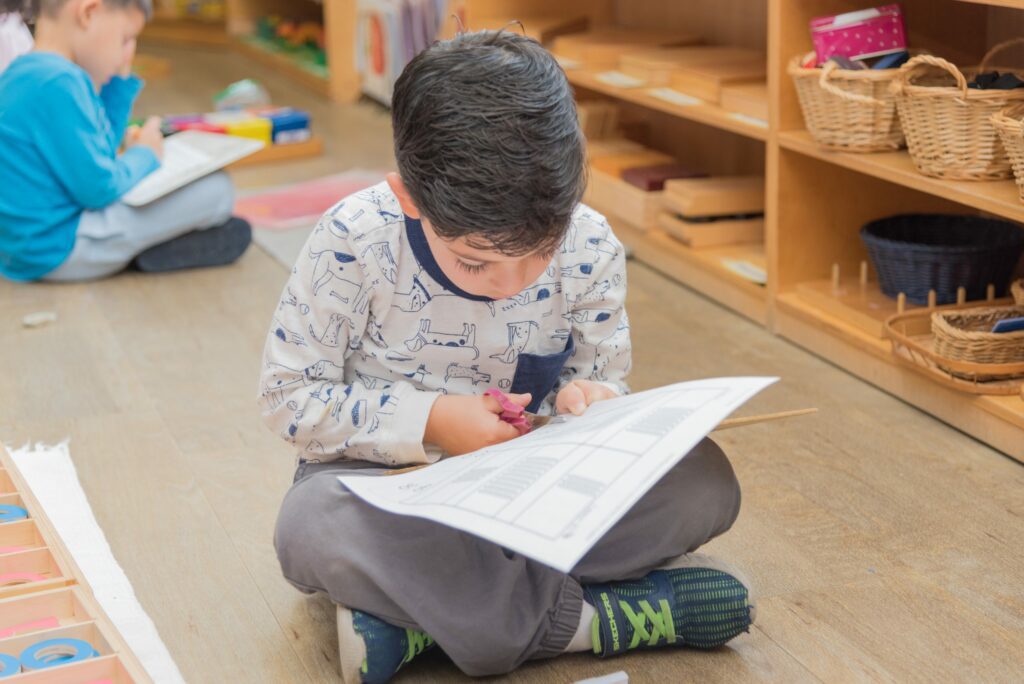 Montessori Study